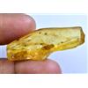 14.10 CT Naturale Tanzania Ambra Fossil Insetto Inclusione FACET Certificato