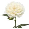 DRW Set 12 fiori artificiali con gambo naturale in PU-Foam Crema 52 x 18 x 18 cm