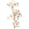 DRW Set di 12 rami color oro con fiori artificiali in PU-Foam crema 67 x 25 x 25 cm