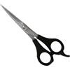 Henbor forbici per capelli in acciaio inox accademy line 6