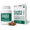 INNOVET ITALIA Srl CONDROSTRESS MOBILITY 90 SOFT CHEWS
