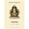 Bignami Lojong. La via verso il risveglio
