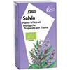 Salus Haus SALVIA TISANA 15 FILTRI BIO