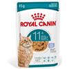 ROYAL CANIN Ageing 11+ Jelly 12x85 g pezzi in gelatina per gatti maturi oltre 11 anni