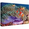CCRETROILUMINADOS Quadro Retroilluminato Oceano