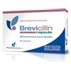 Brevicillin 20 capsule