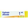 boiron Euphrasia offic bo td mk