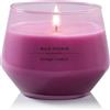 YANKEE CANDLE Candele profumate Studio di Yankee Candle | media Wild Orchid| di lunga durata: 40-65 ore| Elegante design in vetro | Regalo perfetto per le donne, per le mamme, di nozze e altro ancora