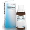 Heel Valerianaheel Gocce per Favorire il Sonno 30 Ml