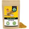 Alpi Nature Polline d'Api 500g, Polline di Api Naturale Crudo per Smoothie, Cereali, Muesli