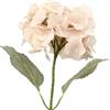 DRW Set di 12 fiori artificiali con gambo naturale in PU-Foam rosa, 66 x 20 x 20 cm