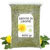 EPEL Tarassaco Tisana 600g - Te di foglie di Tarassaco - Dente di Leone - Detox e Depurativa - Tarassaco Sfuso