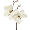 DRW Set 12 rami colore naturale con fiori artificiali in PU-Foam crema 50 x 25 x 25 cm