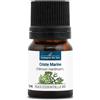 La Compagnie des Sens CRISTE MARINE BIO - 2.5mL - Huile Essentielle de Qualité Premium - 100% Pure, Naturelle, Intégrale et Chémotypée