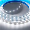 iNextStation Striscia LED 12V bianco freddo 5m, striscia luminosa LED | Autoadesiva flessibile 300 LED SMD5050 per camera da letto, cucina, mobile sottolavello, decorazioni fai da te