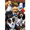 OWN4B - Kit per punto croce su tela stampata con simpatici cuccioli, 11 ct, 36 x 46 cm, kit per ricamo fai da te (cani)