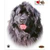 4R Quattroerre.it Adesivi Sticker Cane Terranova, 14 x 16 cm