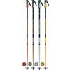 ROSSIGNOL Bastoni sci STOVE BOX 20 PAIRS