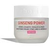 Erborian Ginseng Power - Crema levigante al Ginseng