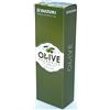 SUZUKI 10 fori armonica diatonica OLIVE C-20 C chiave nuova dal Giappone