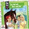 United Soft Media Folge 85: Ein Fall mit Herz und Huf