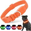 PZRLit Collare per cani a LED - Collare luminoso per cani regolabile, riflettente e impermeabile, collare di sicurezza ricaricabile USB per cani di piccola taglia media e grande