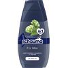 Schauma Schwarzkopf Schauma Shampoo per uomo (2 x 400 ml), shampoo da uomo rinforzante garantisce capelli forti e nutre la struttura dei capelli, shampoo per capelli perfetto per capelli normali
