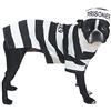 Casual Canine Prison Pooch Costume for Dogs, 16 Medium by Casual Canine