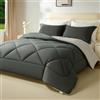 beeweed Piumino una Piazza e Mezza Invernale 200x200 cm 400 gr/mq, Certificato OEKO-TEX, Reversibile Piumone Caldo da Letto 120x190, Trapunta in microfibra Sintetica, 2 Federe(40x80cm)