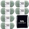 Premier Yarns Basix Chunky Sage 1145-31 - Gomitolo di filato acrilico per uncinetto e lavoro a maglia, confezione con 1 sacchetto Artsiga Crafts Project Bag, colore: salvia grosso