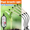 NONE Lampada a LED a spettro completo Phytolamp idroponico per piante USB Pianta coltiva la luce Lampada Phyto per serra per piantine Tenda per coltivazione di fiori