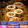 NONE DC5V LED Pianta Coltiva La Luce Spettro Completo Semi di Fiori per Interni Idroponica Scatola di Crescita delle Vegetali Lampada di Coltivazione USB Dimmerabile Temporizzazione