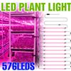 CanLing LED Coltiva La Luce Spettro Completo Pianta Coltivazione Idroponica Lampada Per Interni Fiore In Vaso Succulente Growbox Riempimento di Illuminazione AC220V