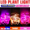 LED Coltiva La Luce Spettro Completo Lampada per Piante da Interno Fiore in Vaso Piante Succulente Riempimento di Illuminazione Dimmerabile con Temporizzazione 24 Ore USB DC5