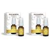 Dr Giorgini EUCALIPTO Quintessenza Liquido Alcoolico Spray - 15 ml