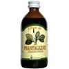 Piantaggine sciroppo 200 ml