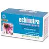 Farmaderbe Echinutra immuno pro-b 10 flaconcini da 10 ml