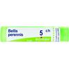 Bellis peren boi*5ch 80gr 4g - - 046162044
