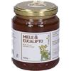 MIELE DI EUCALIPTO 500G - - 927048239
