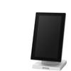 Epson DM-D70 (101): USB Customer Display, White [A61CH62101]