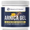 Farmacia Veterinaria Arnica per Cavalli Uso Umano - Gel Raffreddante con Artiglio del Diavolo e Mentolo - Crema Antidolorifico per Dolori Muscolari e Articolari - Balsamo Cavallo Extra Forte - 500ml