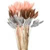 QUARKZMAN 120pz Coda di Coniglio Naturale Fiori Secchi 43cm Mini Erba di Pampa per Decorazioni Floreali Matrimonio Natale, Grigio Blu, Arancione Rosso, Marrone Rosso Scuro