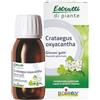 Boiron Estratti di Piante Crataegus oxyacantha (Biancospino) - Integratore Alimentare, Ingredienti 100% di Origine Naturale - Flacone da 60 ml (1x60 ml) con Bicchiere Dosatore