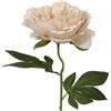 DRW Set 12 fiori artificiali con gambo naturale in PU-Foam rosa 52 x 18 x 18 cm