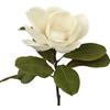 DRW Set 12 fiori artificiali con gambo naturale in PU-Foam Crema 70 x 20 x 20 cm
