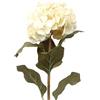 DRW Set 6 fiori artificiali con gambo naturale in PU-Foam Crema 85x20x20 cm