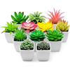 Funzhan 12 piante grasse artificiali, decorazione per interni in vaso, piante grasse finte, piccole e realistiche, di alta qualità, per giardino, veranda, tavolo, rustico, matrimonio