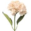 DRW Set di 12 fiori artificiali con gambo naturale in PU-Foam rosa, 64 x 20 x 20 cm