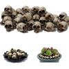 Fonyiunce 20 Pezzi Teschio Decorativo, Mini Teschi Decorativi, Mini Teste di Plastica del Cranio Piccole Teste di Scheletri Finte, Perfetto per Halloween, Decorazioni per vasi di Fiori