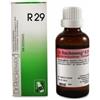 DR.RECKEWEG & CO. GmbH Reckeweg r29 gocce 22ml - DR.RECKEWEG - 909462424